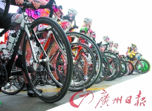 ѡ������׼������