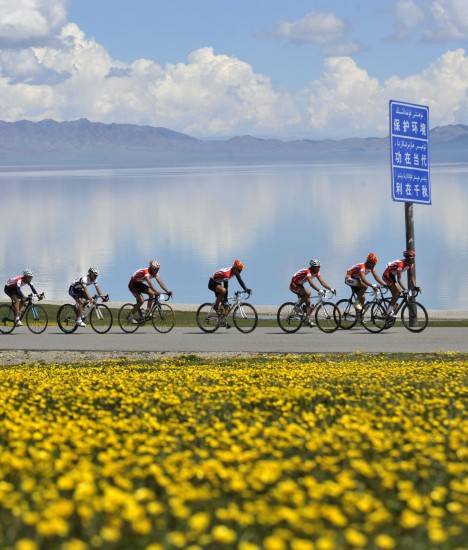 ������ľ����