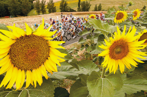 �����̶�