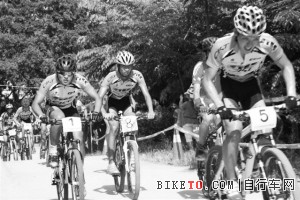 Ϊ�����������г���Ԥ��(ͼ)