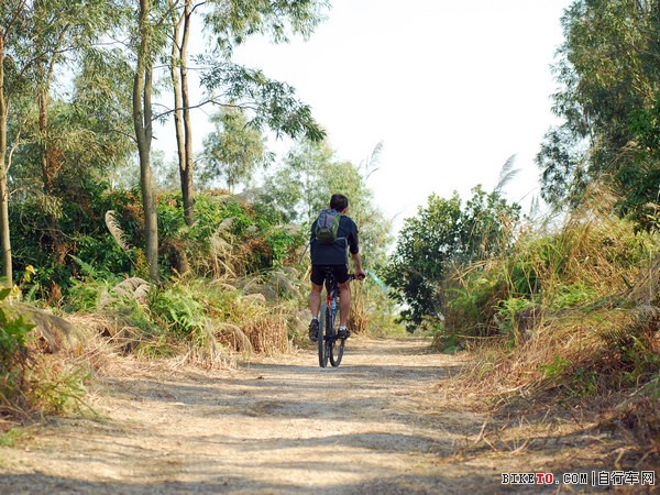 ǰ�޹��� ��������