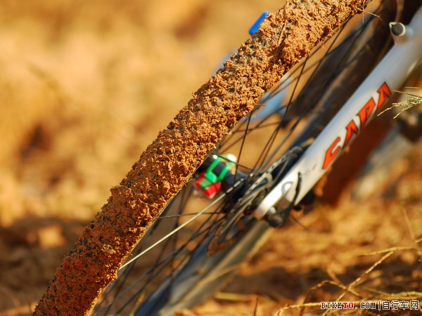 ·��������