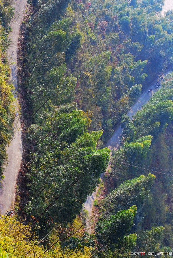 八片山山路十八弯