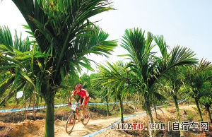 ɽ�س�����������������(ͼ)