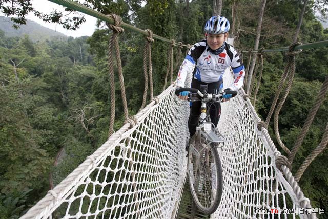 我成为了世界上第一在望天树树冠空中走廊骑车的人