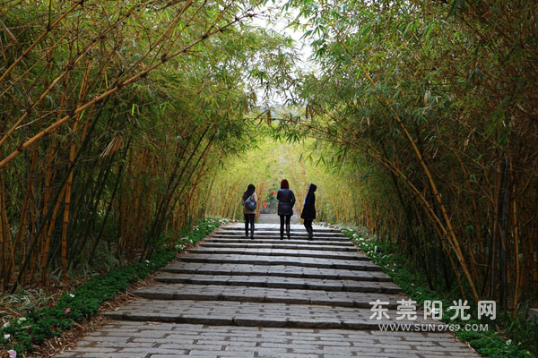 ��ɽ���̵����л