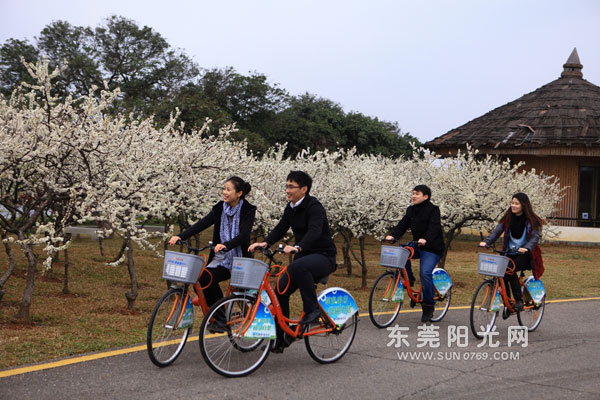 ��ɽ���̵����л