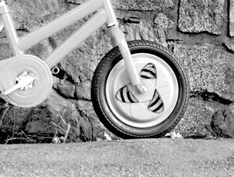 2025年青少星空体育- 星空体育官方网站- 星空体育APP下载年自行车前十推荐：品牌与性能解析