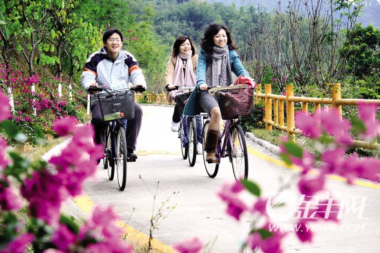 5种未来行走方式