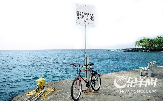 5种未来行走方式