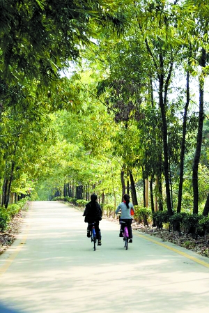 480km�����ֻ�