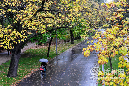 乐在“骑”中 自行车王国的“骑士”精神