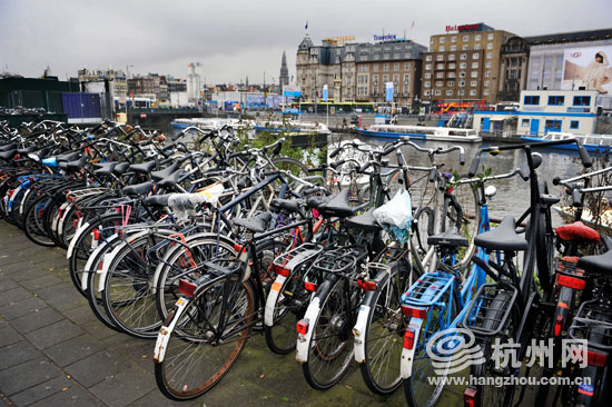 乐在“骑”中 自行车王国的“骑士”精神