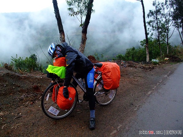 ���ٱ��ٵ�David