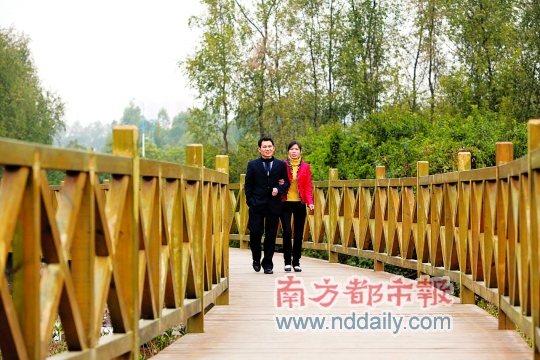 惠州大亚湾绿道红树林公园