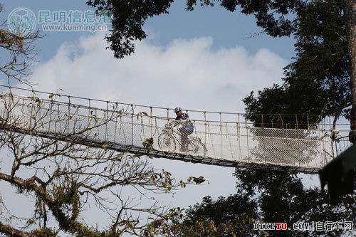 ��ɱ�������������ڿ�����������35��(ͼ)