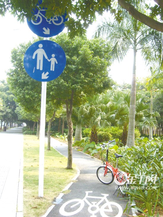 整齐划一的自行车道在深圳少之又少