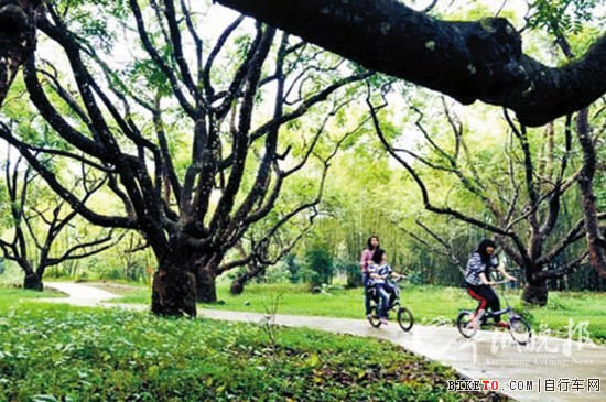 增城八景,千载之下胜往昔