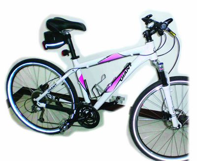 昆山自行车踩动完美产业“链条”