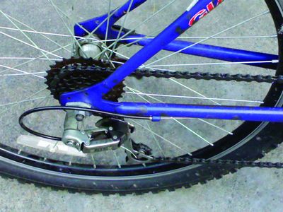 ������ר��