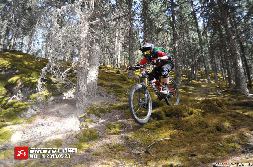 ɽ�ش�Խ�֮AM��Խ���ֲ�ԭ