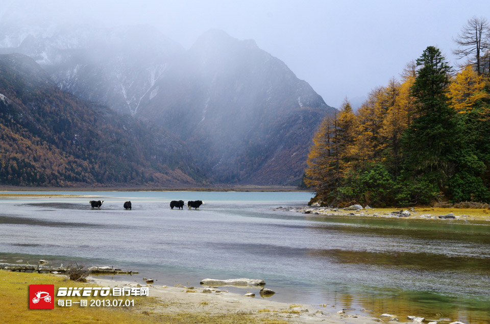 ������ɽ�ȣ����е���ţ