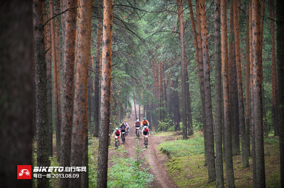 东欧丛林风情 东欧丛林风情