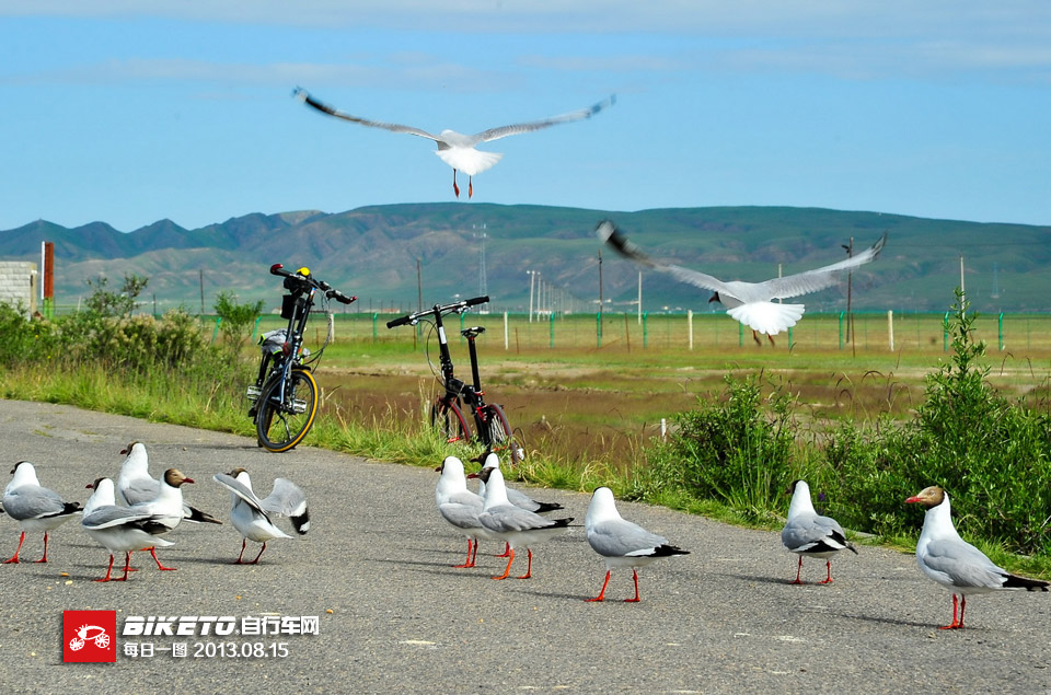 �����������ຣ����