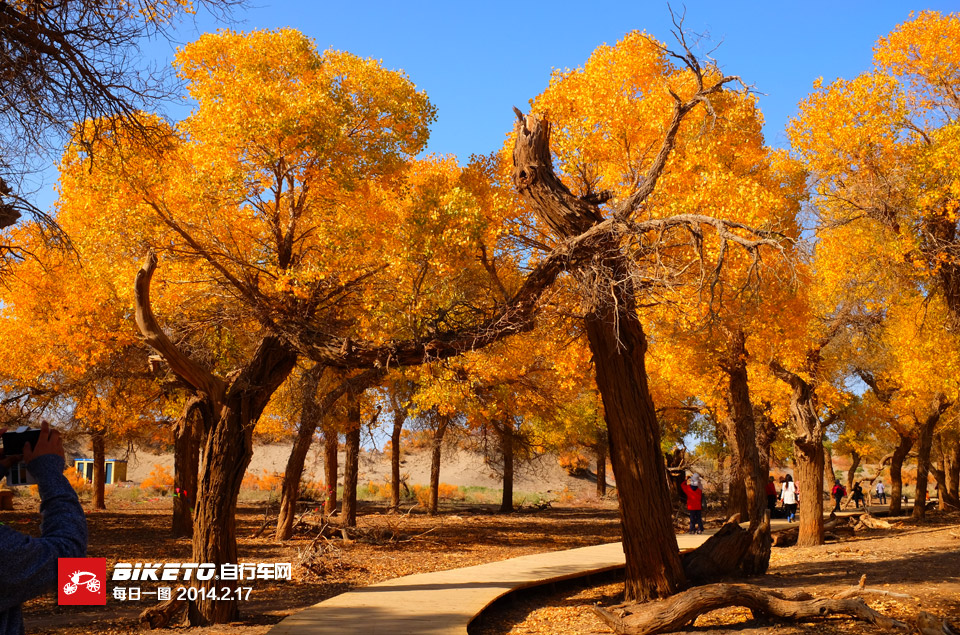 ��ÿ��һ�D��������