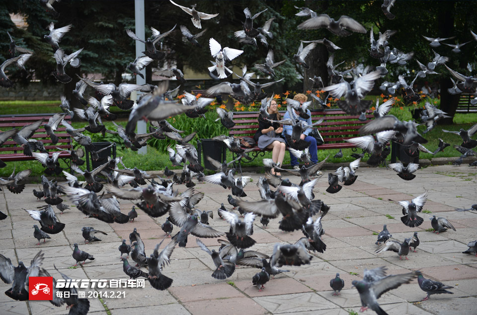 ��ÿ��һ�D����ĺ����ѣ��w���c��ƽ