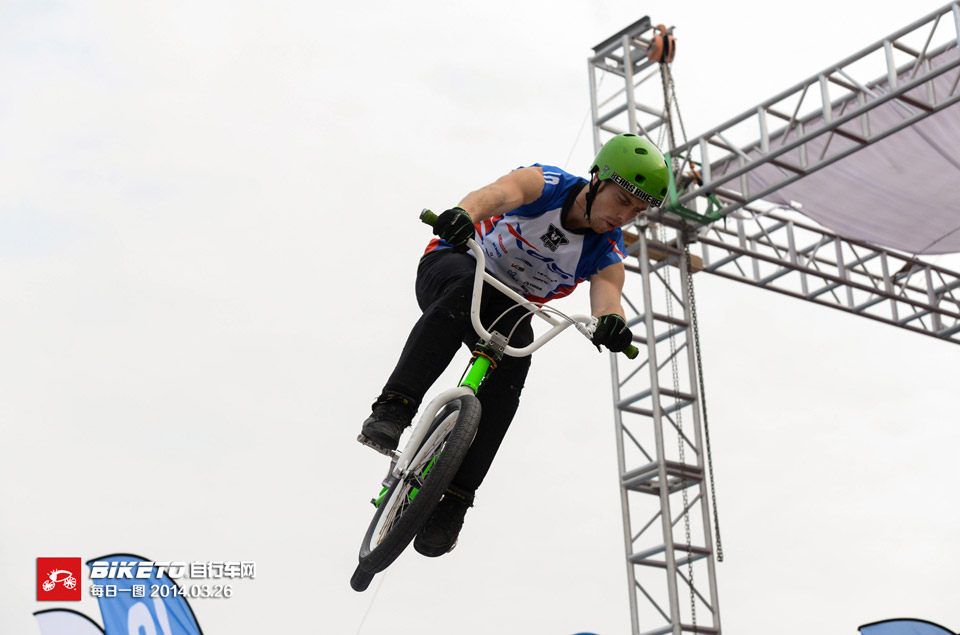 青蛙王子夺冠 青蛙王子夺冠