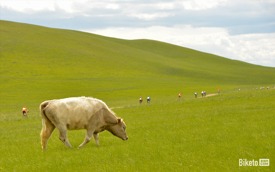 自行车美图摄影_BIKETO美骑网【每日一图】朕就喜欢看你们拼搏的样子 自行车美图摄影_BIKETO美骑网【每日一图】朕就喜欢看你们拼搏的样子