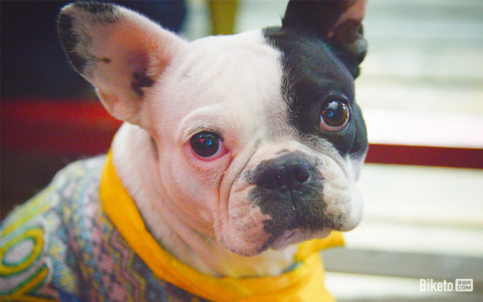 гͼӰ_BIKETOÿһͼʲôû