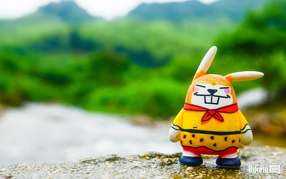 【每日一图】做一只安静的小猴子 【每日一图】做一只安静的小猴子