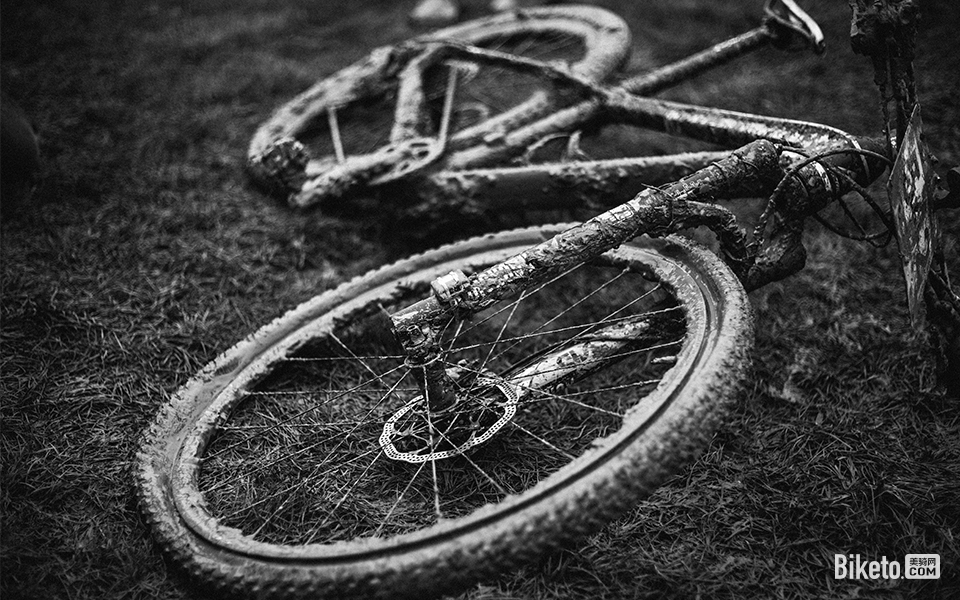 【每日一图】你的战驹,泥泞中带光 【每日一图】你的战驹,泥泞中带光