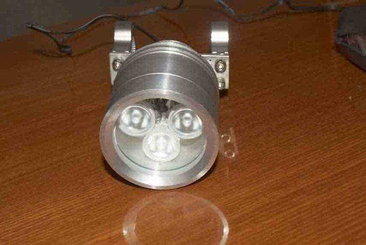 �������г�����