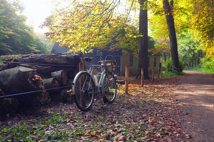 摄影欣赏,荷兰摄影师,古董自行车,美景 摄影欣赏,荷兰摄影师,古董自行车,美景