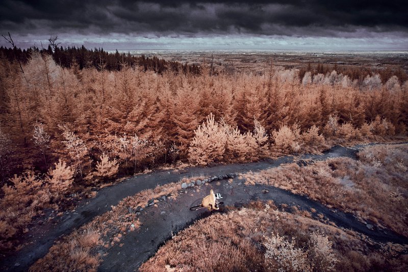 山地自行车,摄影指南,火星,戏剧性视觉效果* 山地自行车,摄影指南,火星,戏剧性视觉效果*
