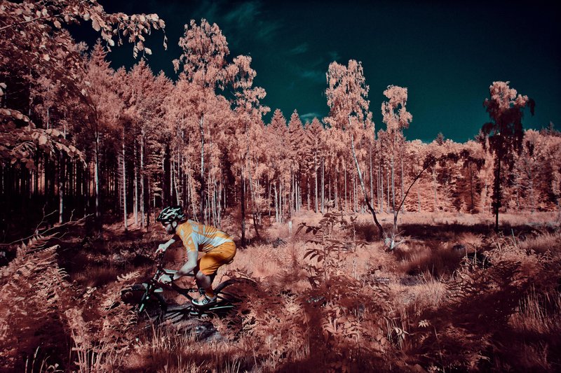 山地自行车,摄影指南,火星,戏剧性视觉效果* 山地自行车,摄影指南,火星,戏剧性视觉效果*