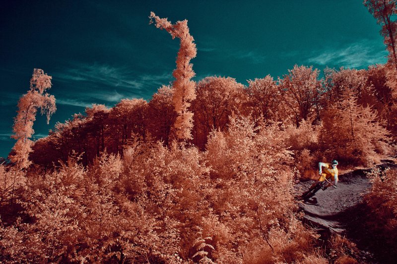 山地自行车,摄影指南,火星,戏剧性视觉效果* 山地自行车,摄影指南,火星,戏剧性视觉效果*