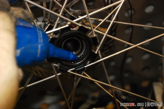 FULCRUM F1���鱣������