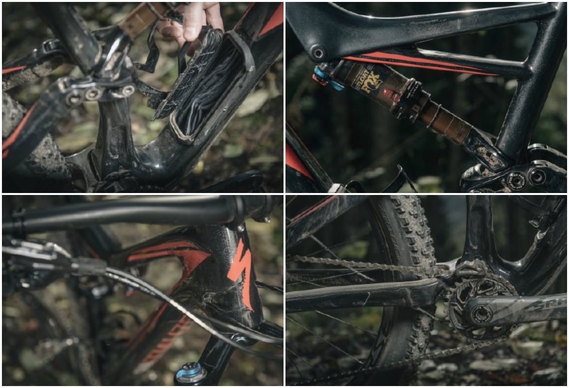 collage.jpg collage.jpg