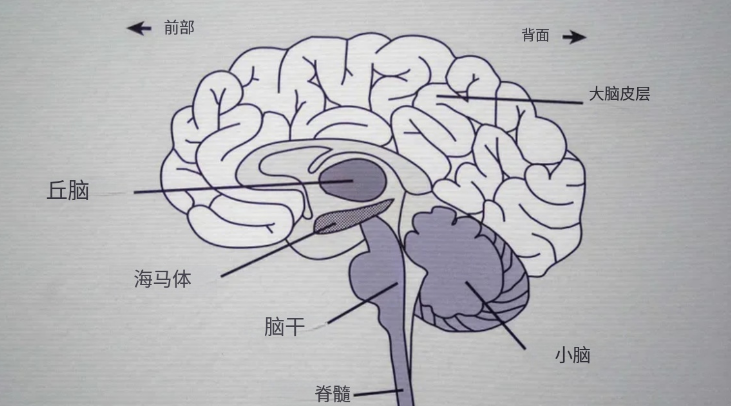 微信图片_20260401153555_3649_497.png 微信图片_20260401153555_3649_497.png