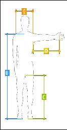 自行车身材参考