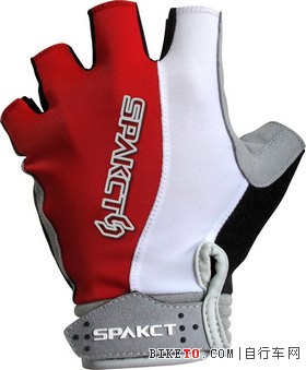 CSG011 Team 2 ��ָ