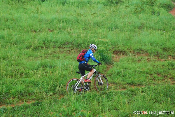 DSC_5464.jpg