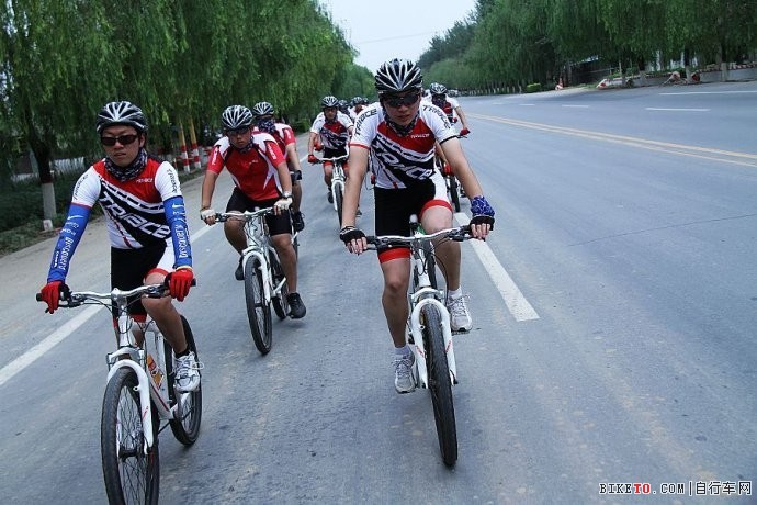 TRIACE�����й�