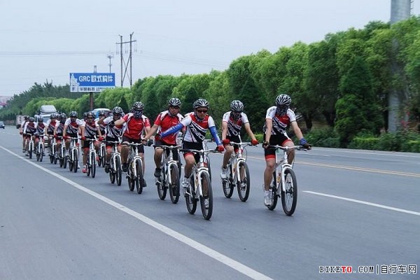 TRIACE�����й�