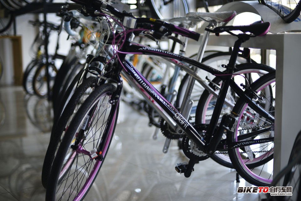 番禺捷安特年会,捷安特,风球俱乐部 番禺捷安特年会,捷安特,风球俱乐部