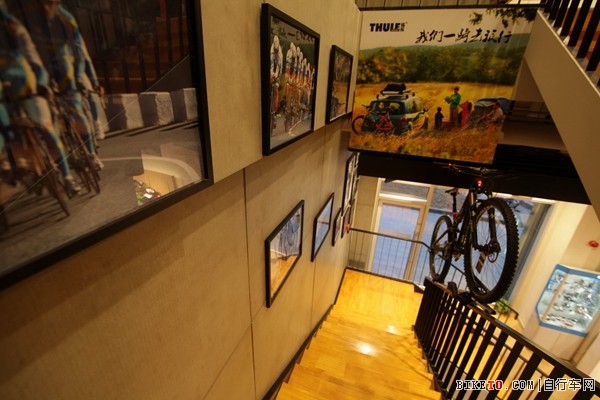 SPECIALIZED������꿪ҵ �ٰ족�����ж���